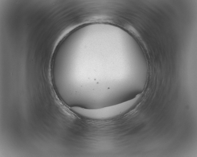 X0000062131336200512301451