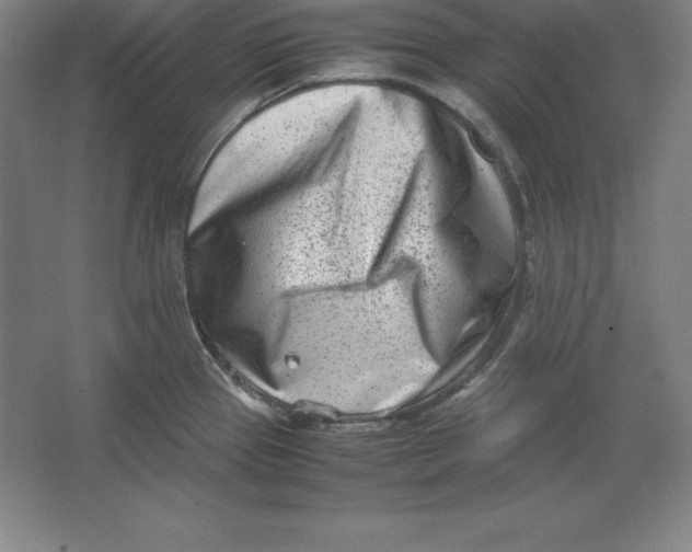 X0000062131337200512301451