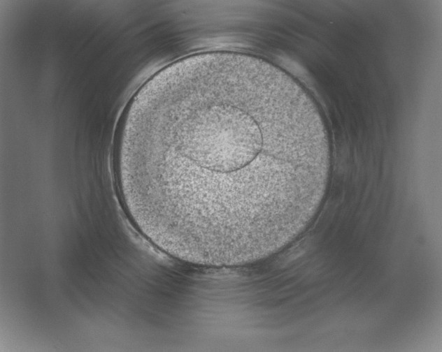 X0000062131338200512301451