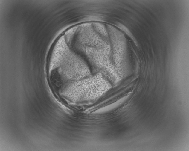 X0000062131339200512301451