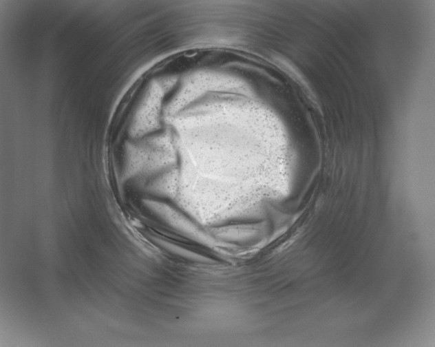 X0000062131340200512301451