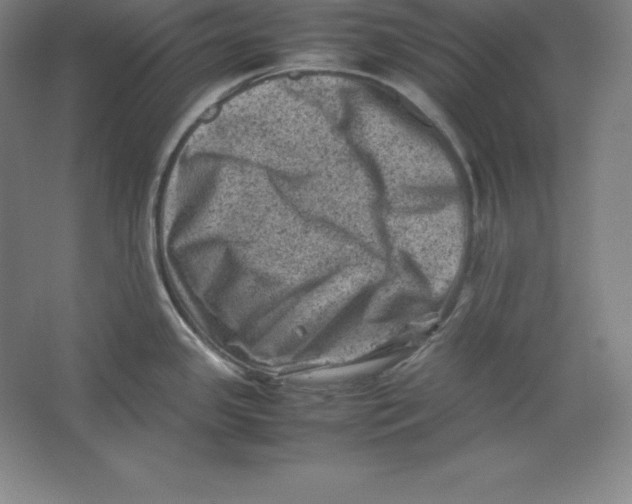 X0000062131341200512301451