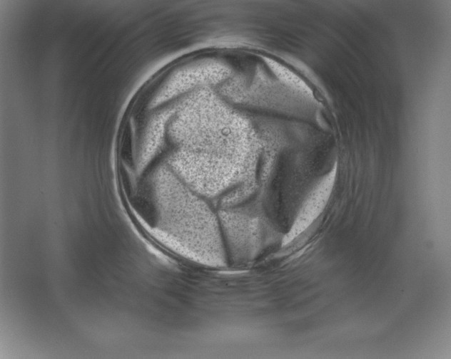 X0000062131343200512301451