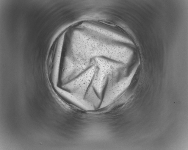 X0000062131344200512301451