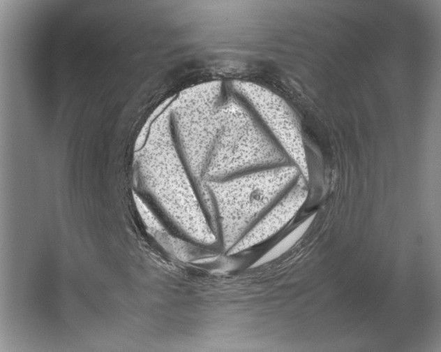 X0000062131345200512301451