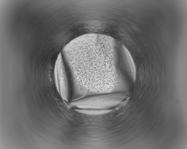 X0000062131346200512301451