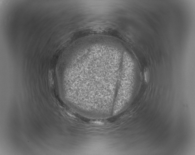 X0000062131347200512301451