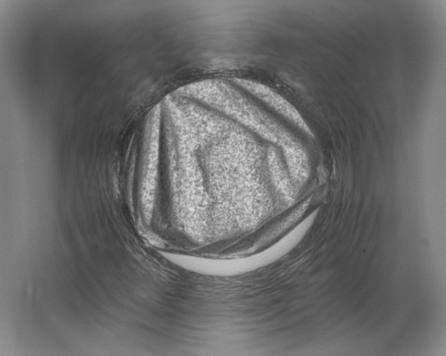 X0000062131348200512301451