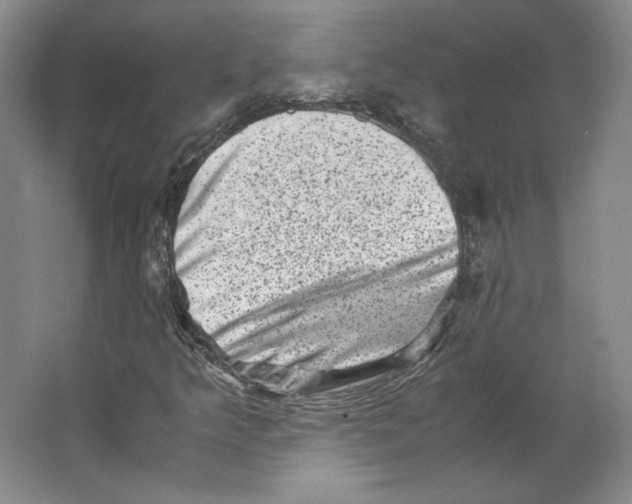 X0000062131349200512301451