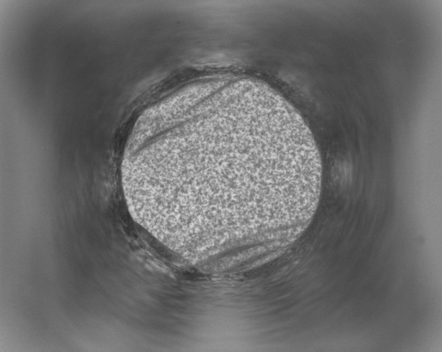 X0000062131350200512301451