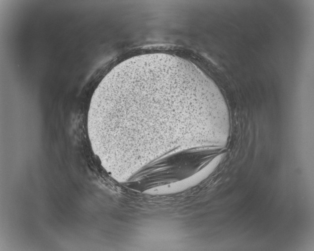 X0000062131351200512301451