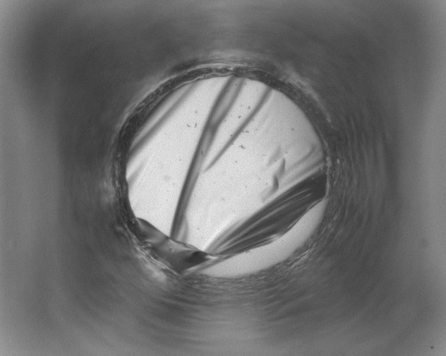 X0000062131352200512301450