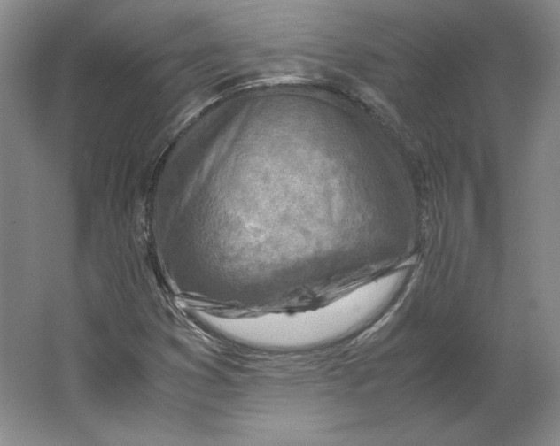 X0000062131353200512301450