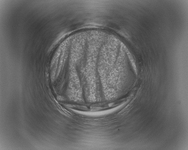 X0000062131355200512301450