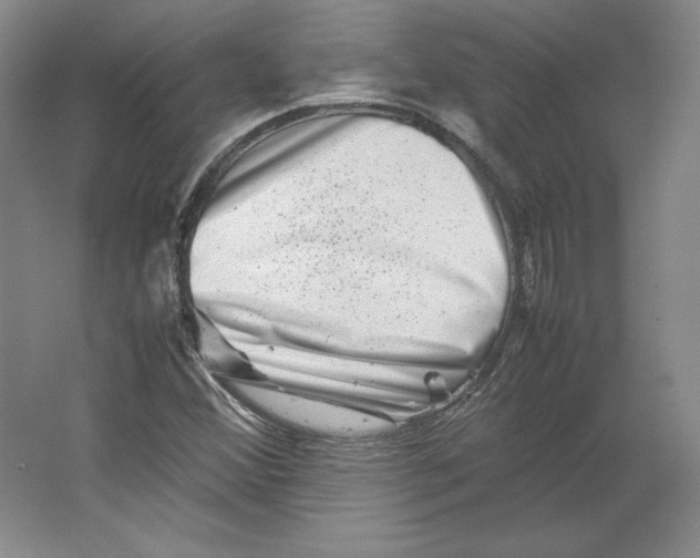 X0000062131356200512301450