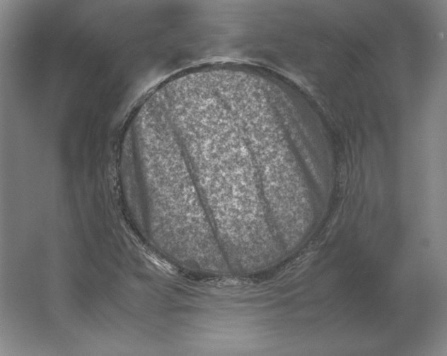 X0000062131359200512301450