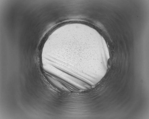 X0000062131360200512301450