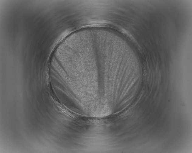 X0000062131362200512301450