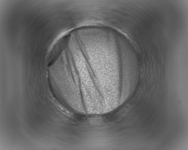 X0000062131363200512301450