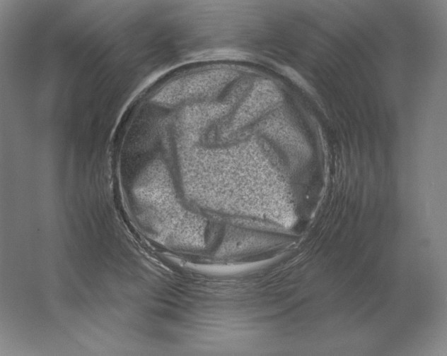 X0000062131364200512301450