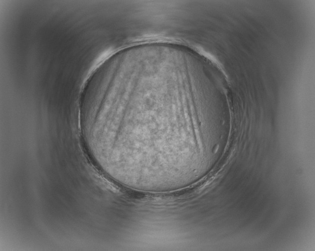 X0000062131365200512301450