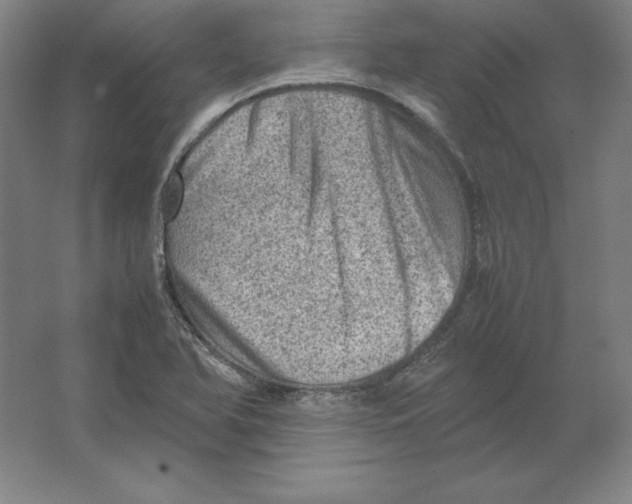 X0000062131366200512301450