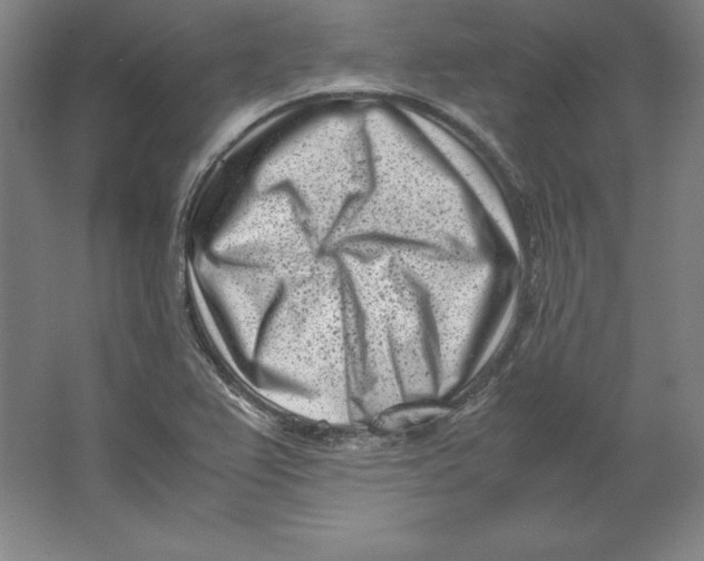 X0000062131367200512301450