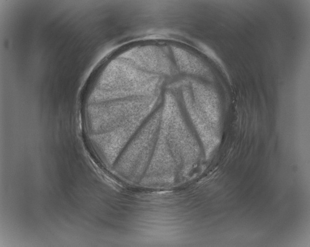 X0000062131368200512301450