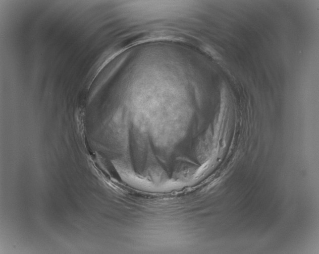 X0000062131369200512301450