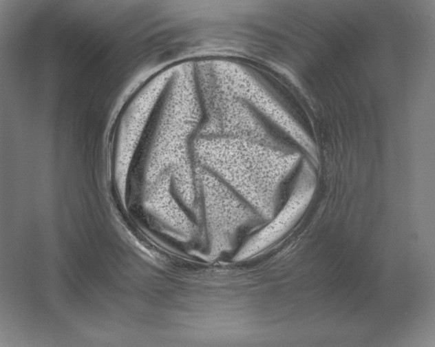 X0000062131371200512301450