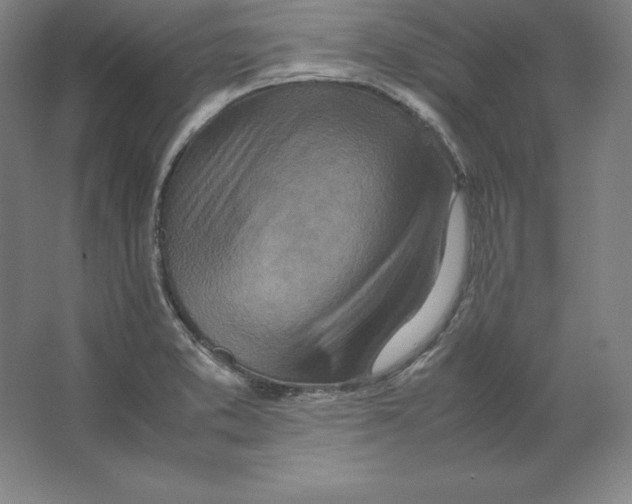 X0000062131373200512301450