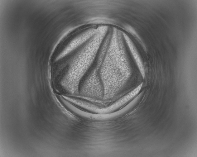 X0000062131376200512301450