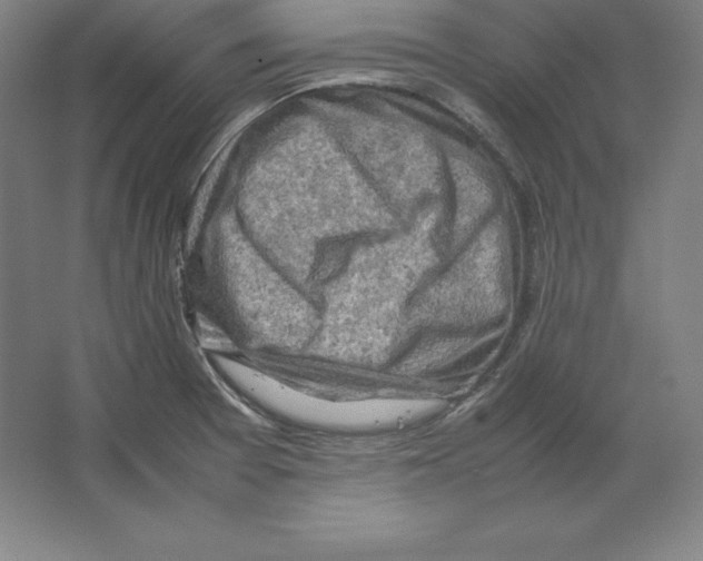 X0000062131377200512301450