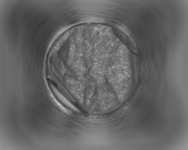 X0000062131379200512301450