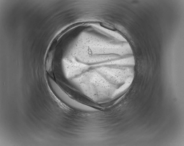 X0000062131380200512301450