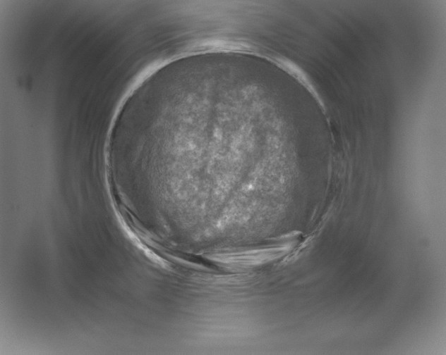 X0000062131381200512301450