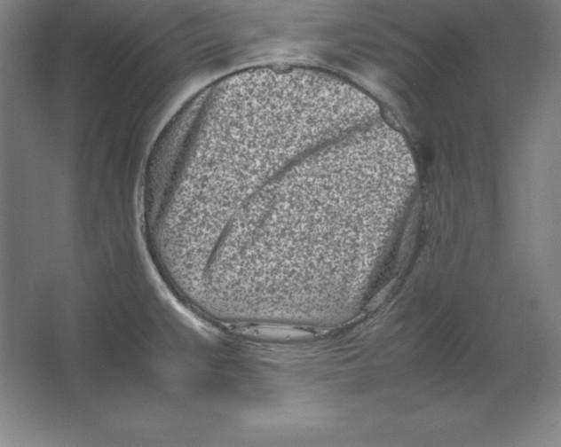 X0000062131383200512301450