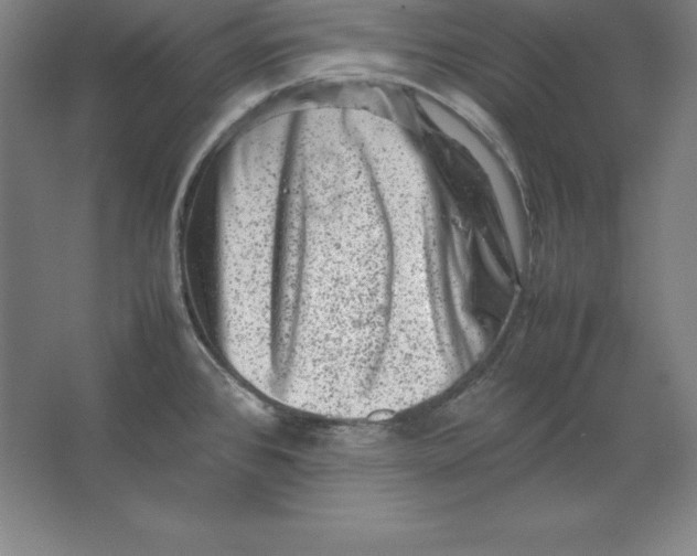 X0000062131384200512301450