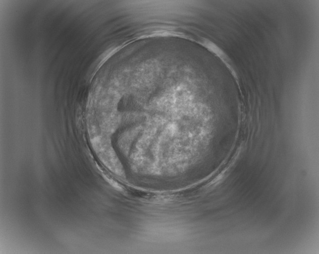 X0000062131385200512301450