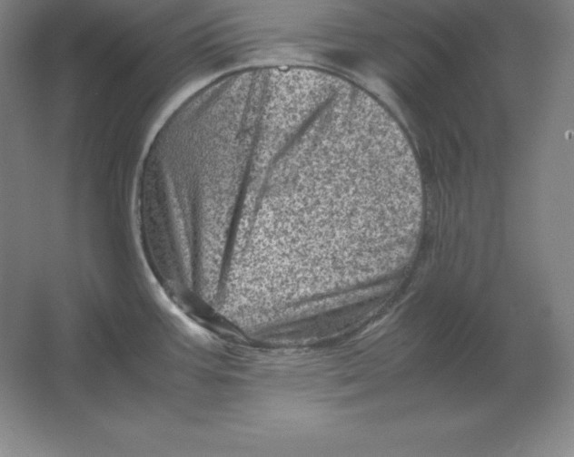 X0000062131387200512301450