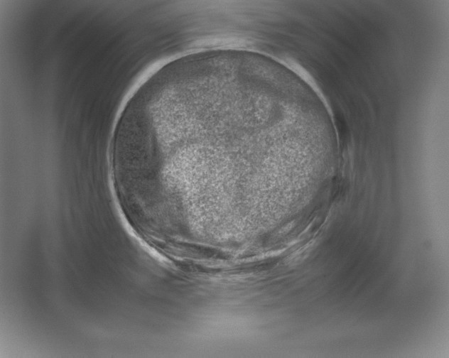 X0000062131389200512301450