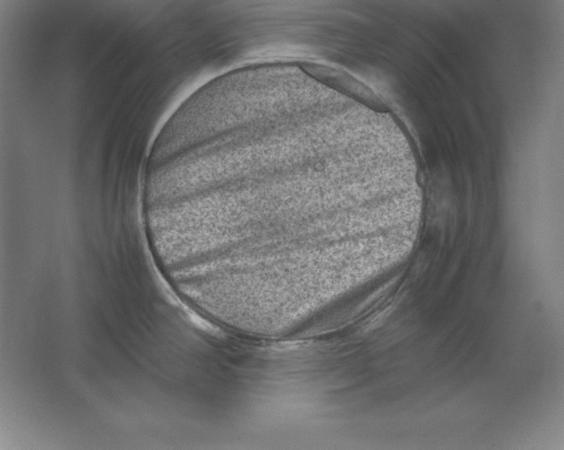 X0000062131390200512301450