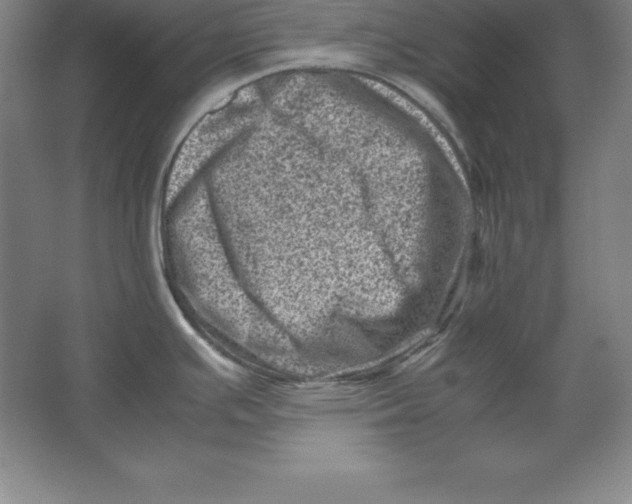 X0000062131391200512301450