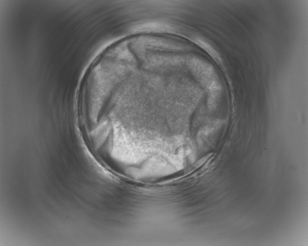 X0000062131392200512301450