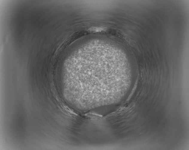 X0000062131393200512301449