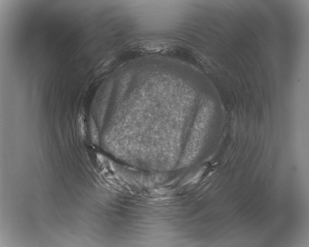 X0000062131394200512301449