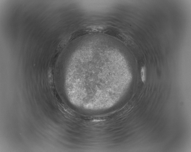 X0000062131395200512301449