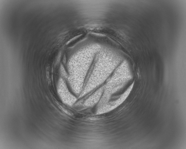 X0000062131396200512301449