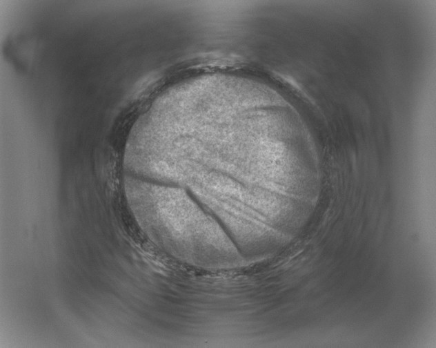 X0000062131399200512301449