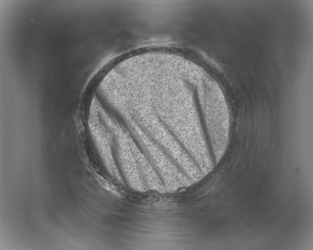 X0000062131400200512301449